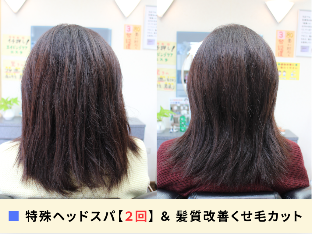 特殊ヘッドスパ【2回】と髪質改善くせ毛カットを組み合わせて、くせ毛の膨らみと髪質を改善