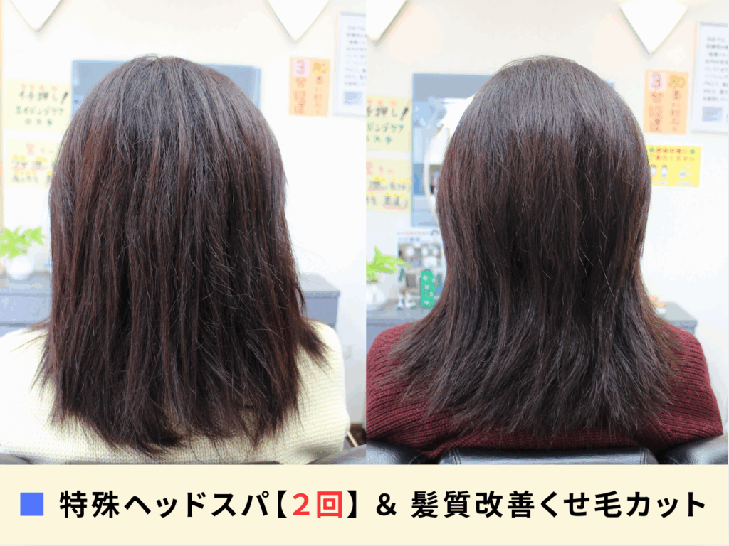 特殊ヘッドスパ【２回】と髪質改善くせ毛カットを組み合わせて、くせ毛の膨らみと髪質を改善