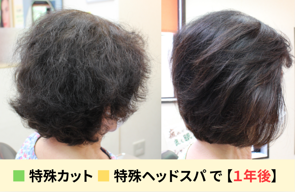 ハリコシや艶の喪失したダメージ毛を「特殊カット＆特殊ヘッドスパ」を使い、１年間で改善したビフォーアフターの写真