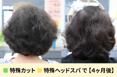 髪のハリコシや艶がない髪を、特殊カットや特殊ヘッドスパで４ヶ月で綺麗に改善したビフォーアフターの写真