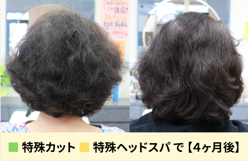 髪のハリコシや艶がない髪を、特殊カットや特殊ヘッドスパで４ヶ月で綺麗に改善したビフォーアフターの写真